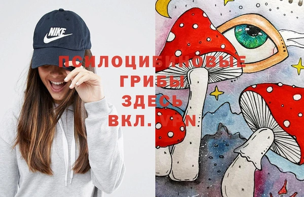 первитин Киреевск