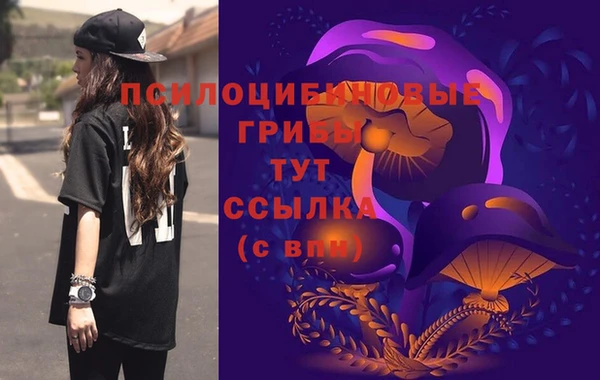 первитин Киреевск