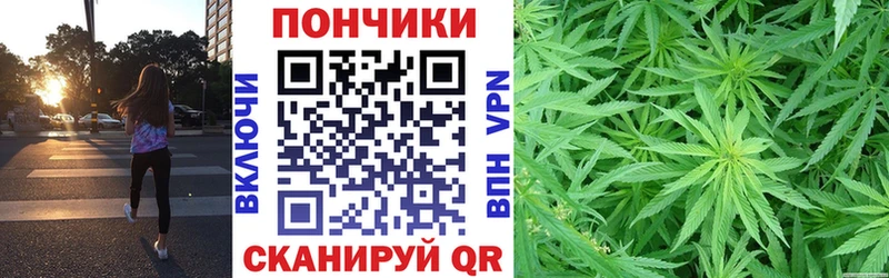 Купить где  Городовиковск  Конопля индика 
